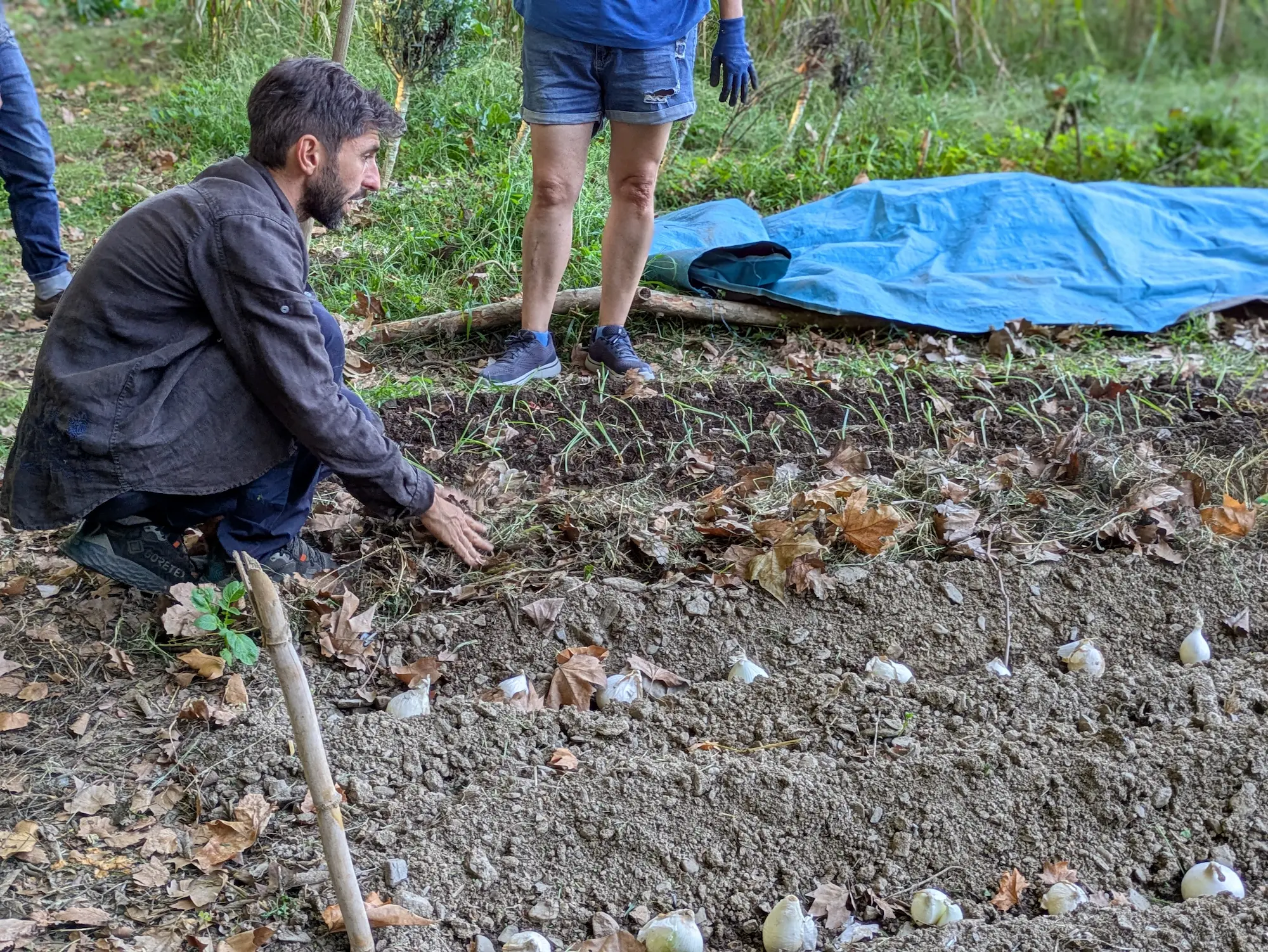 Taller adultos cubriendo el huerto