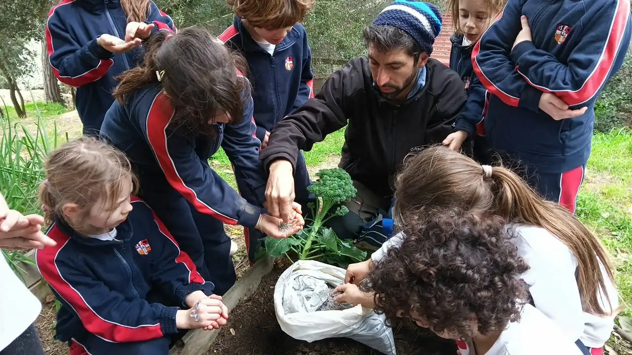 Taller infantil con British school brócoli